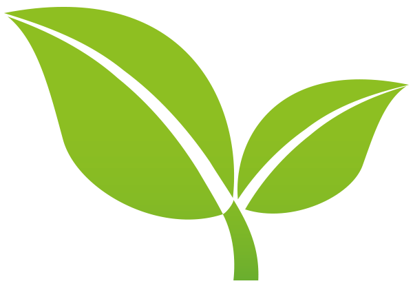 Umweltschutz Icon Blätter